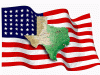 TexasAmericanFlag_02.gif
