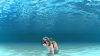 scuba_dog.png