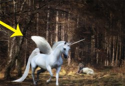 Background.jpg Background.jpg