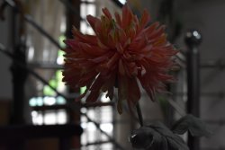 sample.JPG sample.JPG