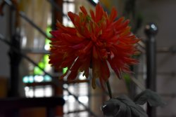 sample1.jpg sample1.jpg