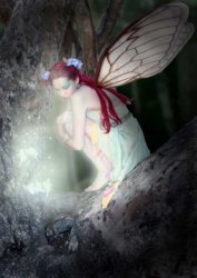 Fairy-Left-web.jpg