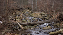 Shadow direct study.jpg Shadow direct study.jpg