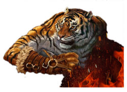 Tiger.jpg Tiger.jpg