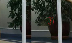 PSG edit copyf.jpg PSG edit copyf.jpg