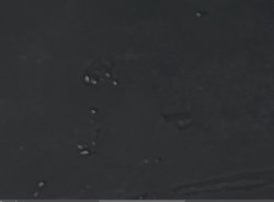 001047.jpg 001047.jpg