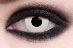 miguel_contacts.jpg miguel_contacts.jpg