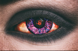 miguel_contactsf.jpg miguel_contactsf.jpg