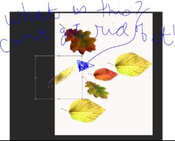 bounding box glitch.JPG