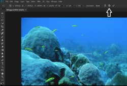 Untitled1.jpg Untitled1.jpg