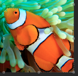 Screen Shot 2017-11-15 at 12.51.30 PM.png Screen Shot 2017-11-15 at 12.51.30 PM.png