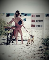 2017-11-05 15.38.08.jpg