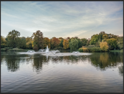 Screen Shot 2017-11-19 at 9.51.44 AM.png