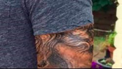 Untitled7.jpg Untitled7.jpg