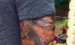 Untitled8.jpg Untitled8.jpg