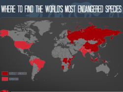 this-heartbreaking-map-shows-where-the-most-endangered-animals-in-the-world-are.png