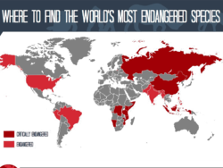 this-heartbreaking-map-shows-where-the-most-endangered-animals-in-the-world-are B.png