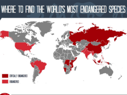 this-heartbreaking-map-shows-where-the-most-endangered-animals-in-the-world-are B.png this-heartbreaking-map-shows-where-the-most-endangered-animals-in-the-world-are B.png