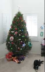 2011 Tree-2.jpg 2011 Tree-2.jpg