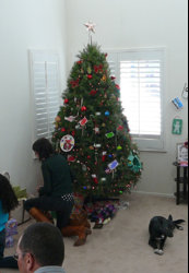 2011 Tree-3.jpg 2011 Tree-3.jpg