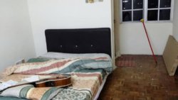 IMG-20170917-WA0004.jpg IMG-20170917-WA0004.jpg