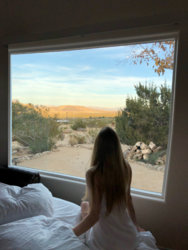 Window.jpg Window.jpg