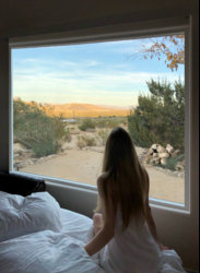 Window2.jpg Window2.jpg