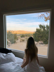 TheWindow_01.jpg TheWindow_01.jpg