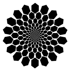 Screen Shot 2018-01-04 at 11.36.14 PM.png Screen Shot 2018-01-04 at 11.36.14 PM.png