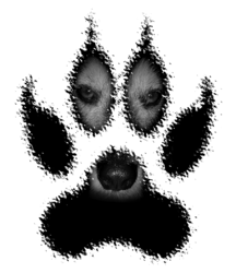 0ec54d27366416af25673c900d9d3d91--wolf-print-tattoo-lion-tattoo.png