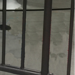 Screen Shot 2018-01-15 at 6.35.49 PM.png