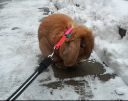 februar.jpg februar.jpg