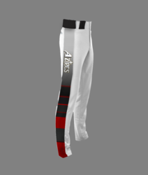 ZBP-S150-custom-baseball-pants-508x600.png