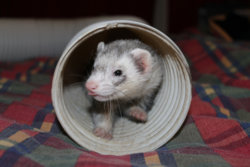 1194-After1-IMG_0133.jpg 1194-After1-IMG_0133.jpg