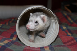 IMG_0133_1.jpg IMG_0133_1.jpg