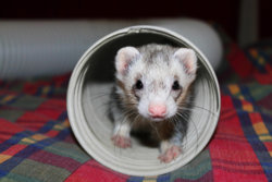 IMG_0123-1f.jpg IMG_0123-1f.jpg