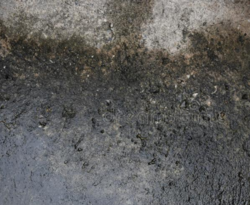 Screen Shot 2018-02-14 at 9.25.11 AM.png