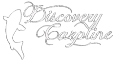 discoverycarpline.png