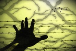 28503730_2175910309305802_1301402967_o.jpg 28503730_2175910309305802_1301402967_o.jpg