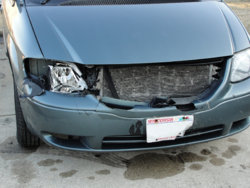 Deer 2-28-18.JPG Deer 2-28-18.JPG