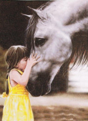 bus card pic 001_cr.jpg