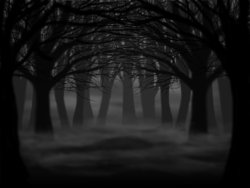 dark_forest_by_shystriker-d3iqy09.jpg