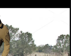 Screen Shot 2018-03-25 at 3.02.16 PM.png