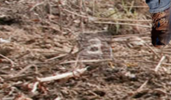 Screen Shot 2018-03-25 at 3.07.02 PM.png