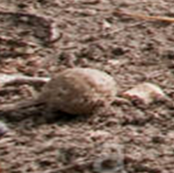 Screen Shot 2018-03-25 at 3.11.01 PM.png