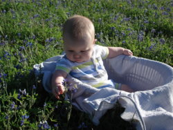 DSC00876.JPG DSC00876.JPG