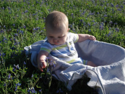 DSC00876.JPG DSC00876.JPG