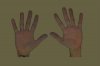 Plain-Hands1.jpg
