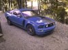bluestang.jpg
