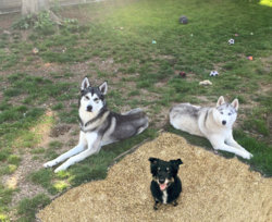 1371-After-keira and leo.jpg 1371-After-keira and leo.jpg